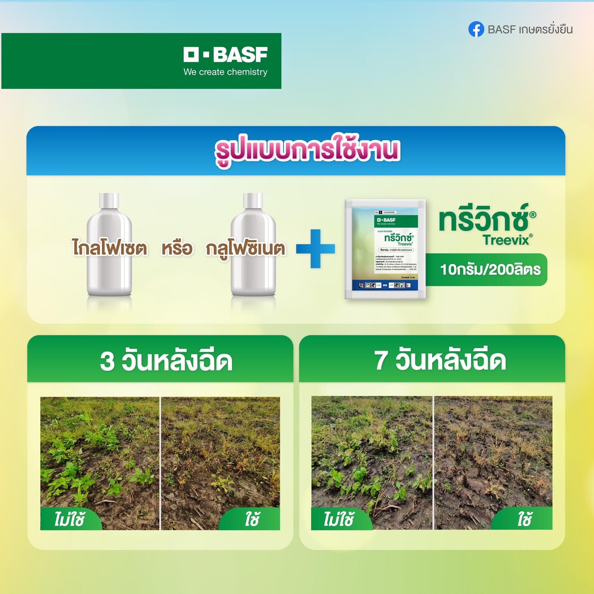 ตังนำเกษตร - ทรีวิกซ์ | Treevix®...