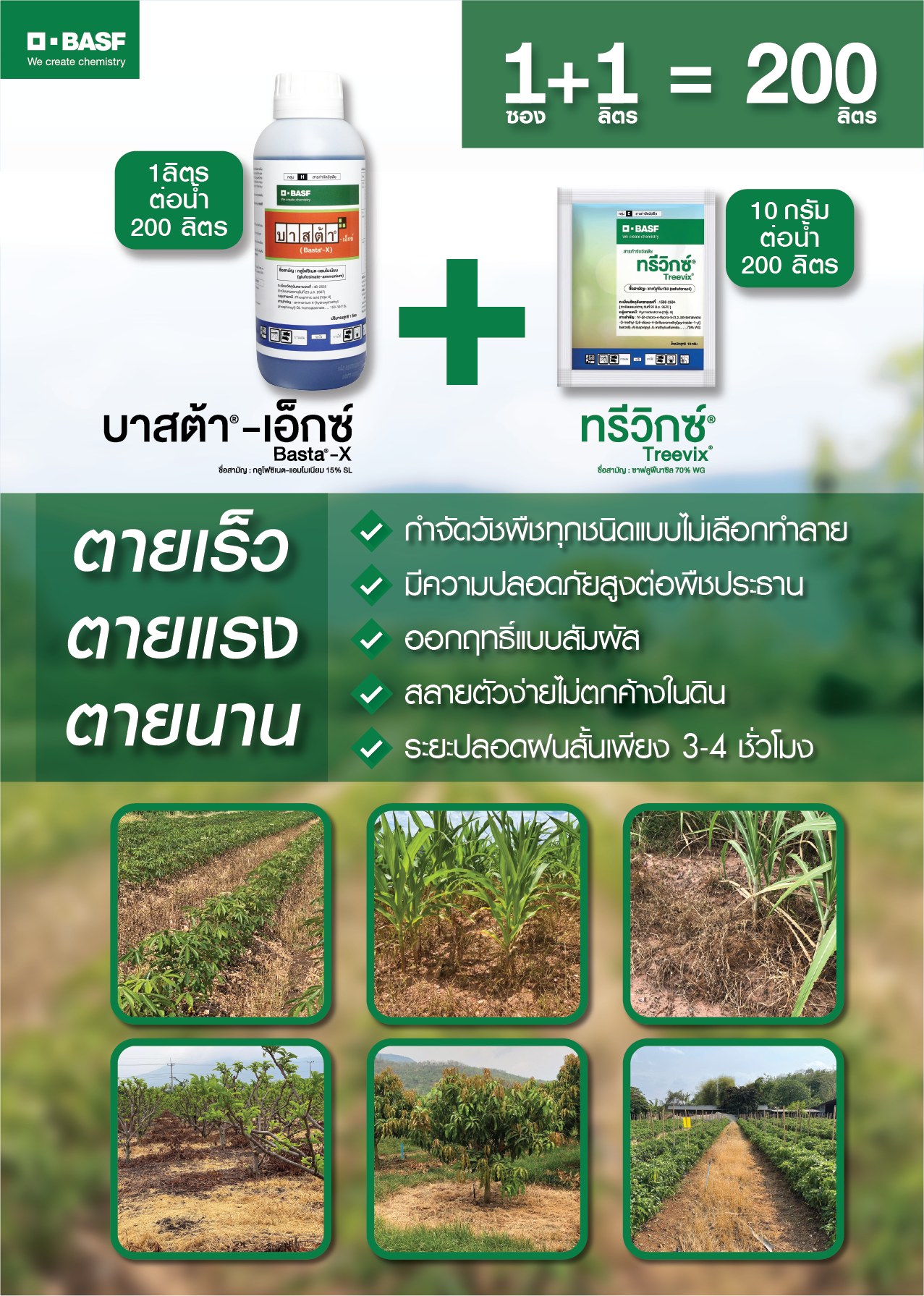 ตังนำเกษตร - ทรีวิกซ์ | Treevix®...