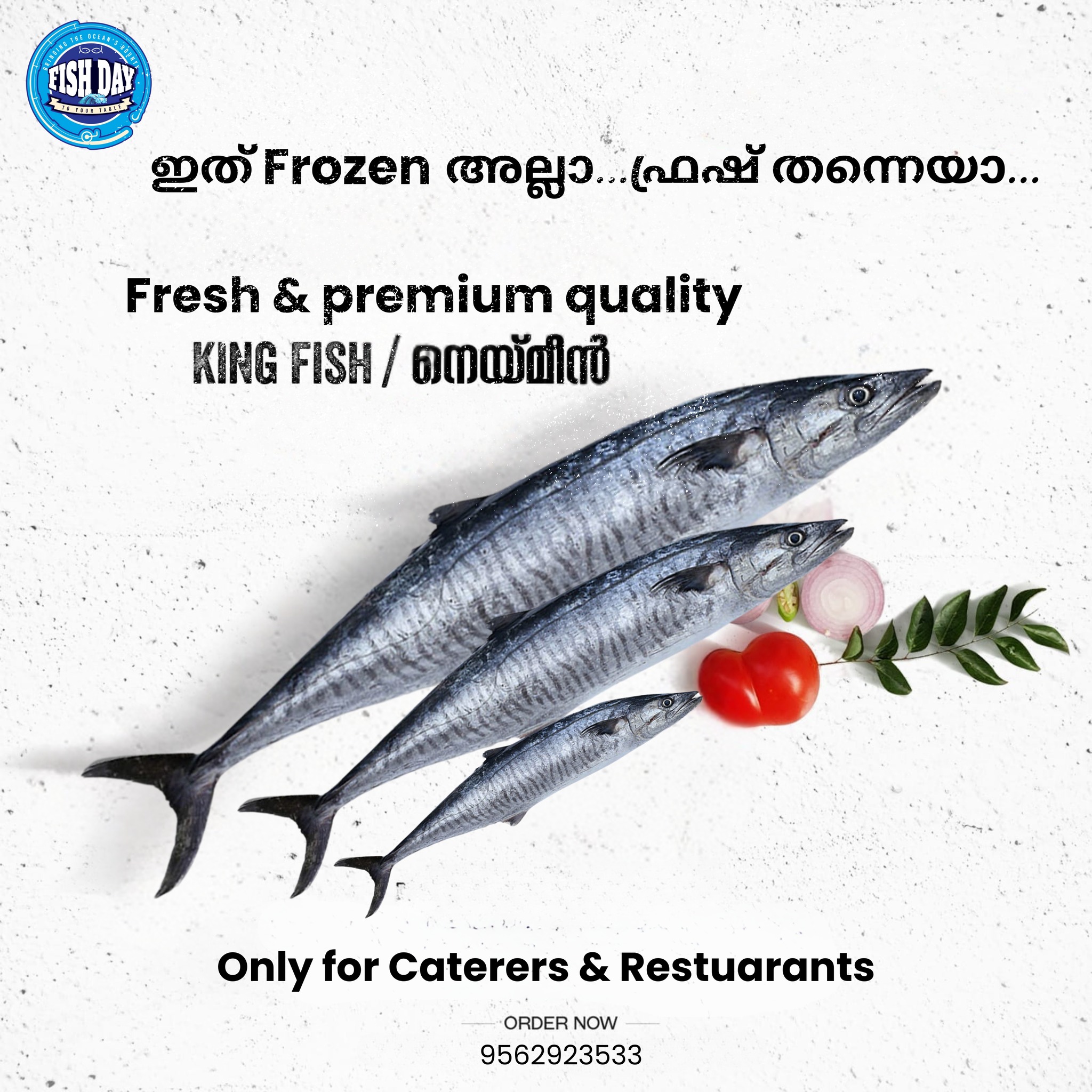 Fish Day