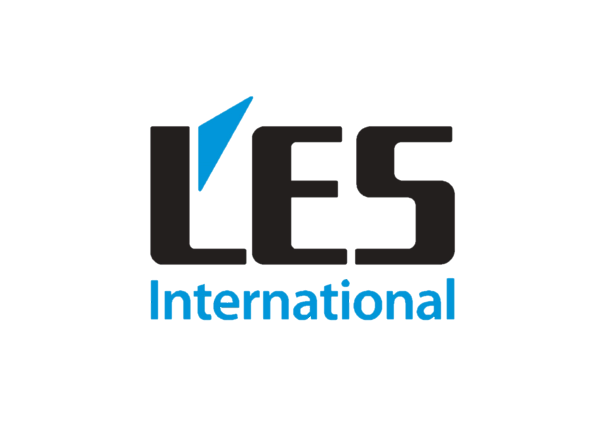 LES International Egin & Schmidt GmbH & Co. KG | Bad Windsheim
