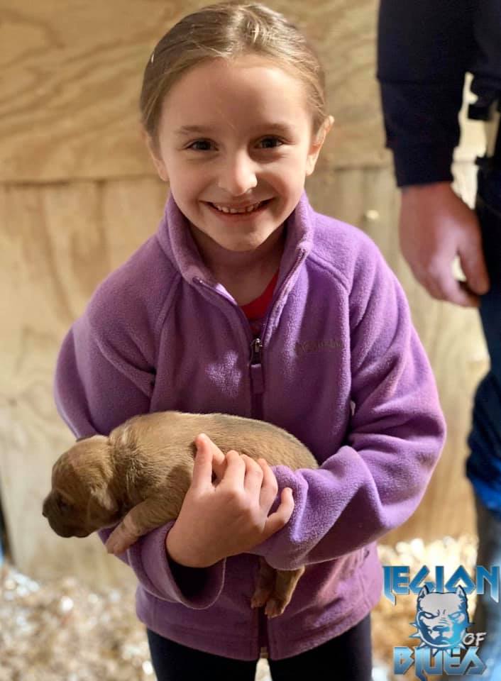 Legion of Blues - Meet RAMBO! Avery’s pick of the litter....