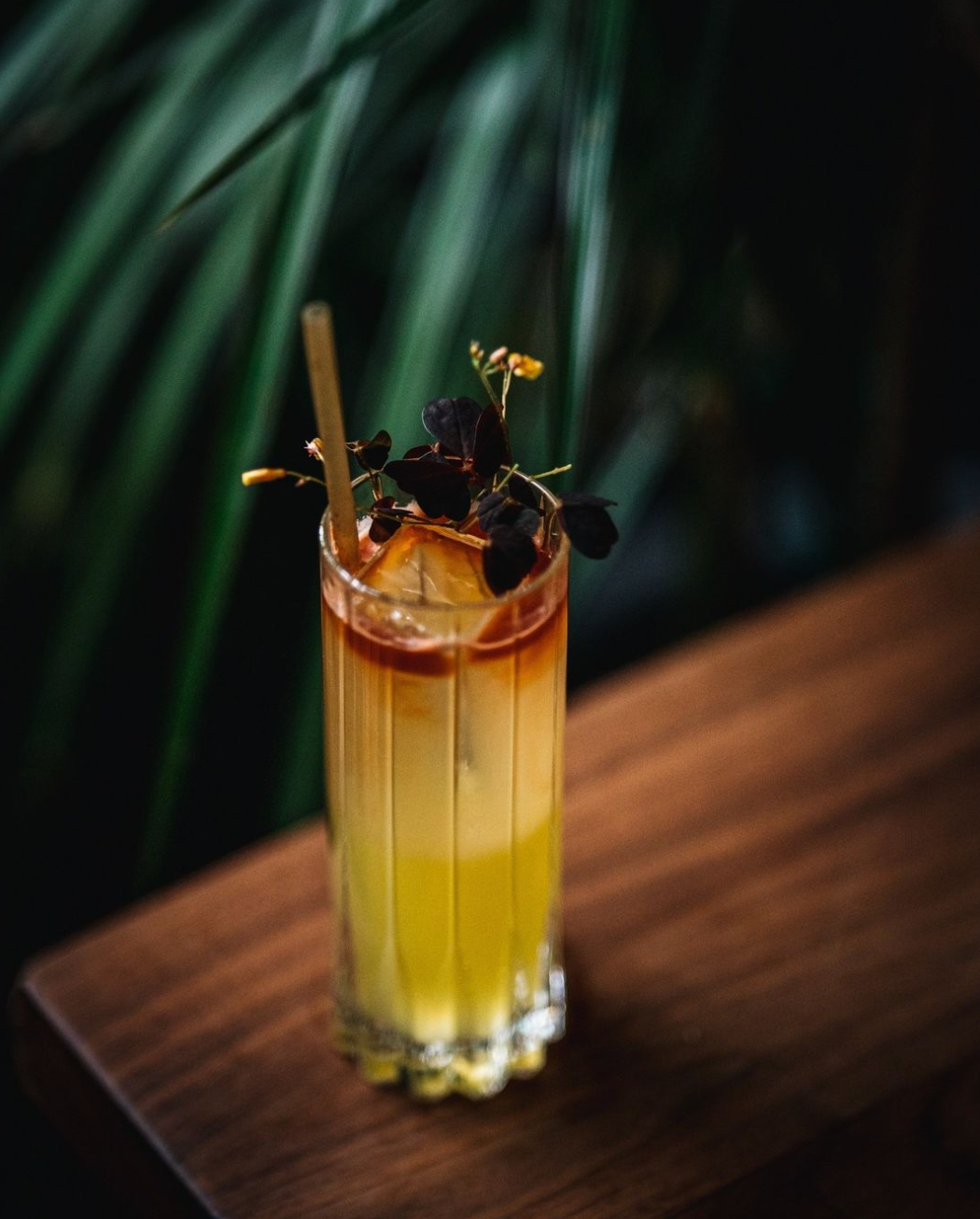 Jatoba | Montreal QC