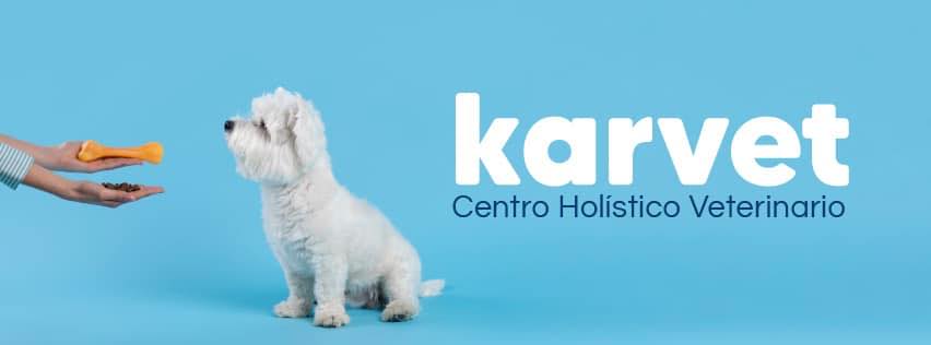 Karvet Centro... - Karvet Centro Holistico Veterinario