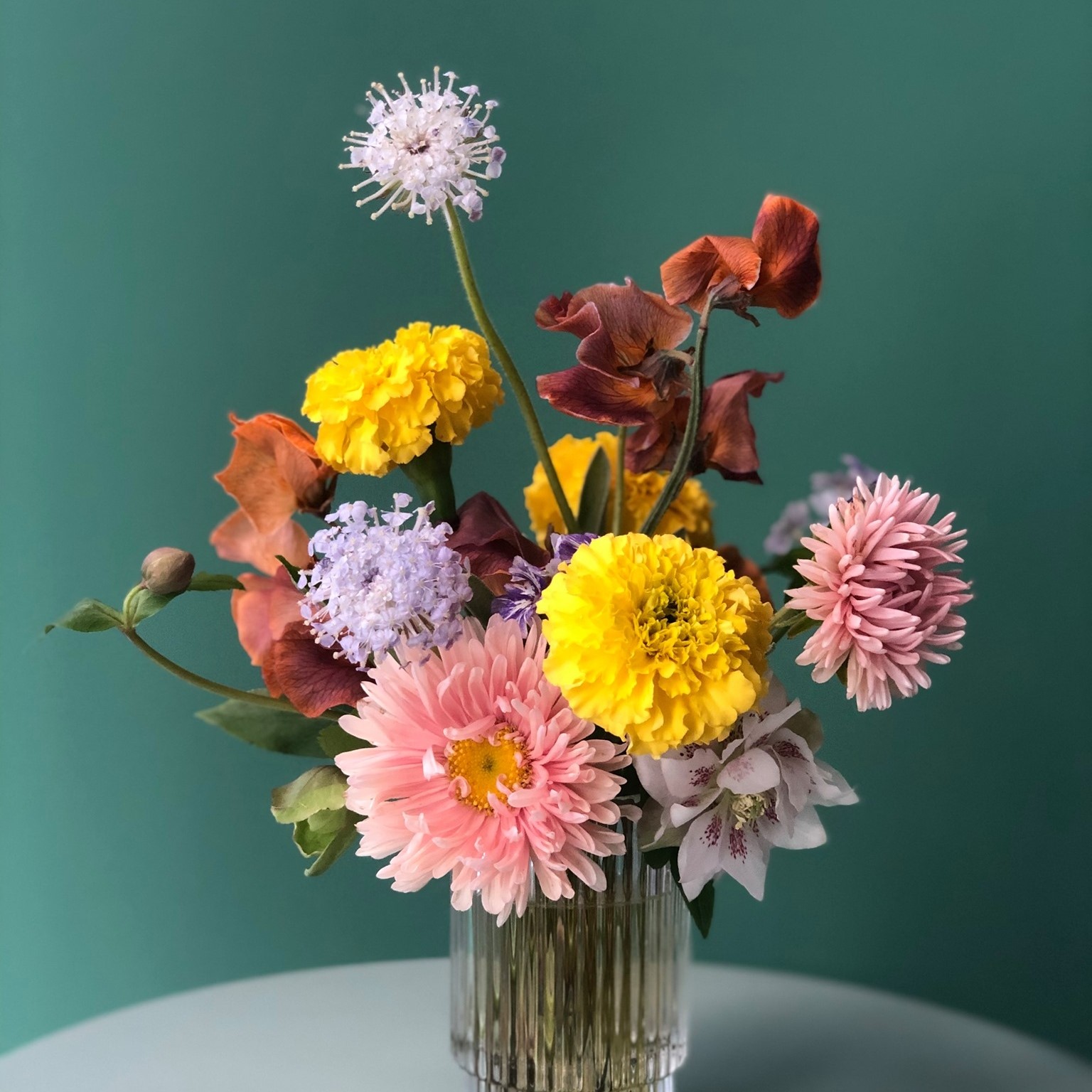 The Wild - Learn how to make a most beautiful fall arrangement with us ...