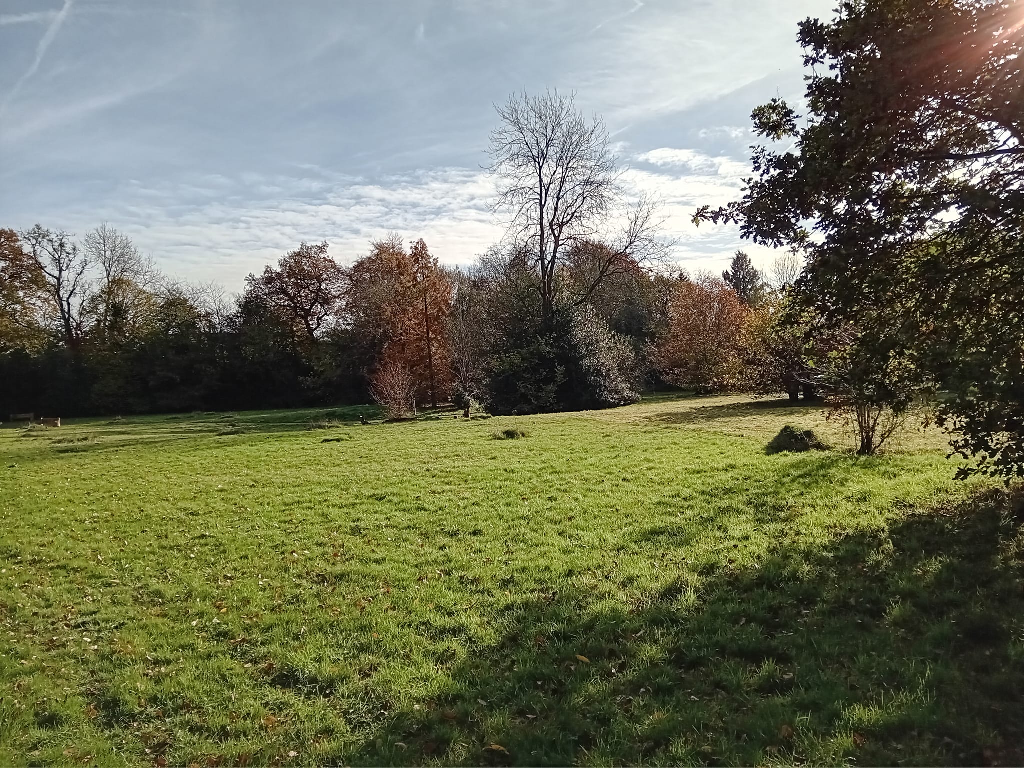 little-chalfont-nature-park-amersham