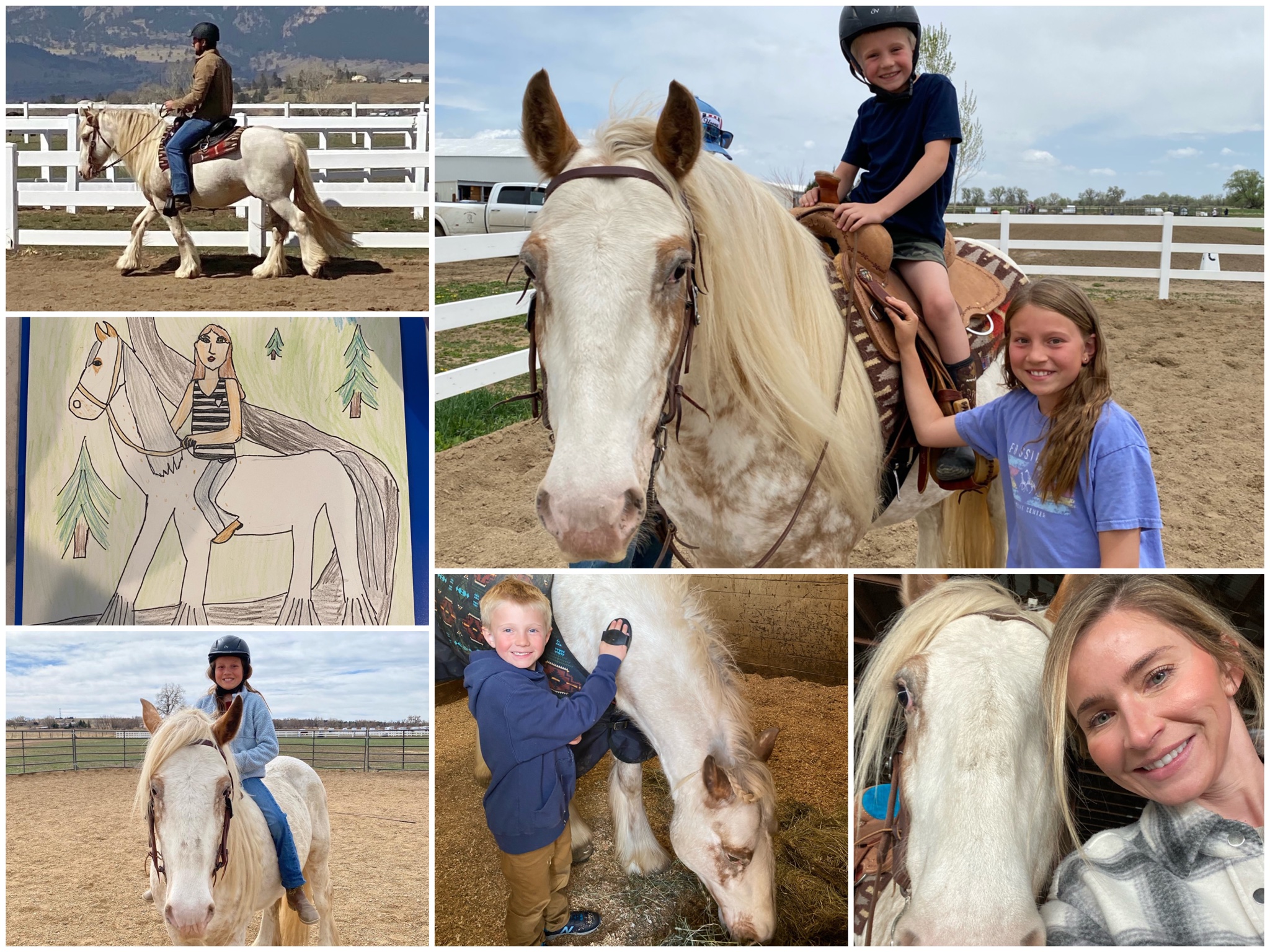 When we get to watch a family fall in... - Horse Of My Dreams | Facebook