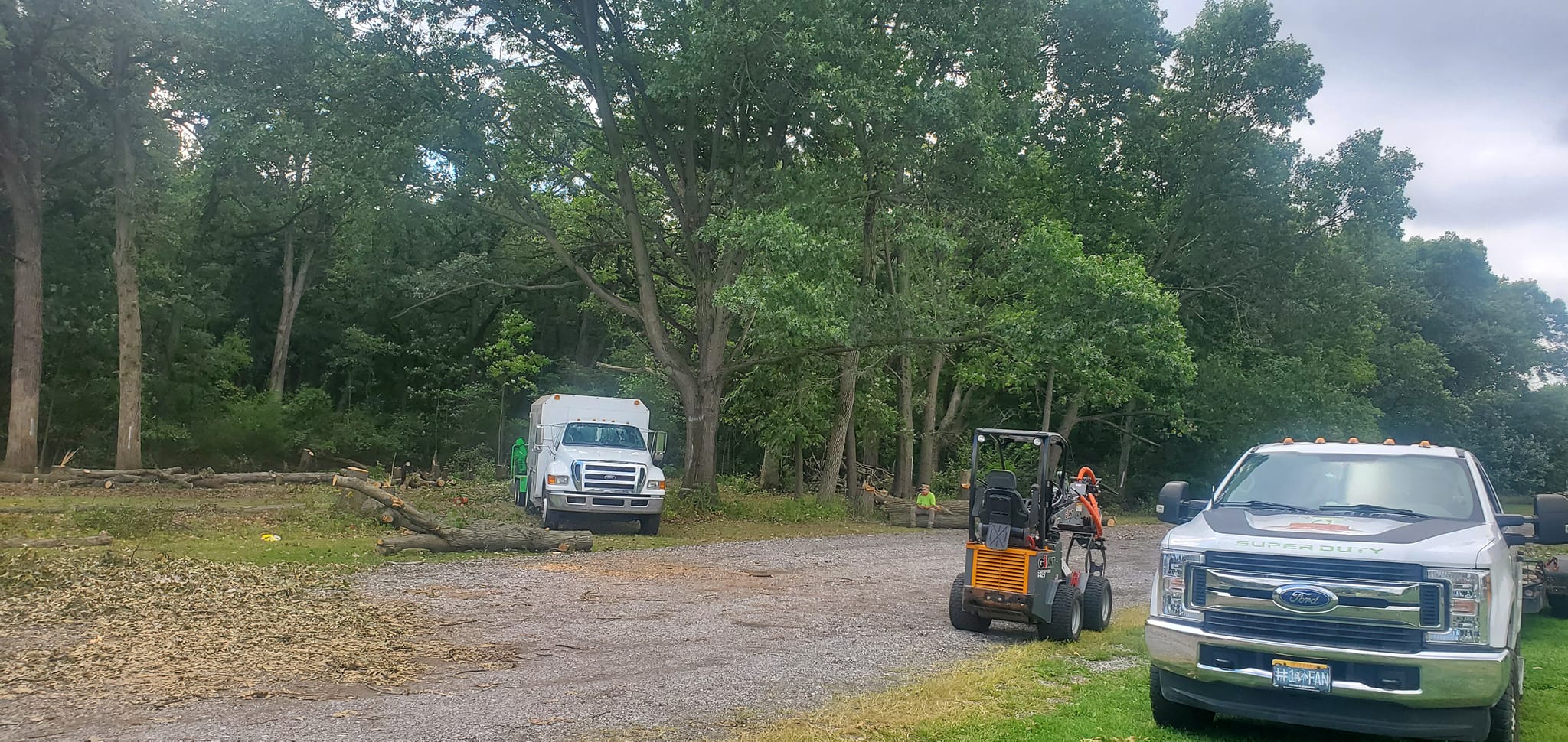 Joe's Discount Tree & Stump Service | Crown Point IN