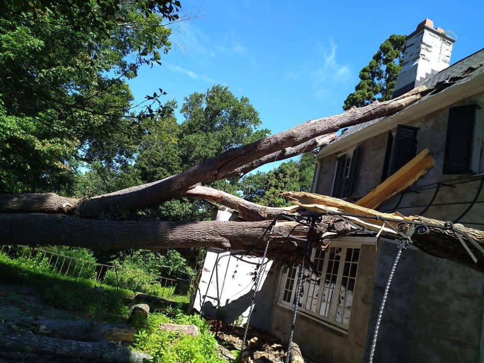 Top notch tree care and landscaping llc | Ivyland PA