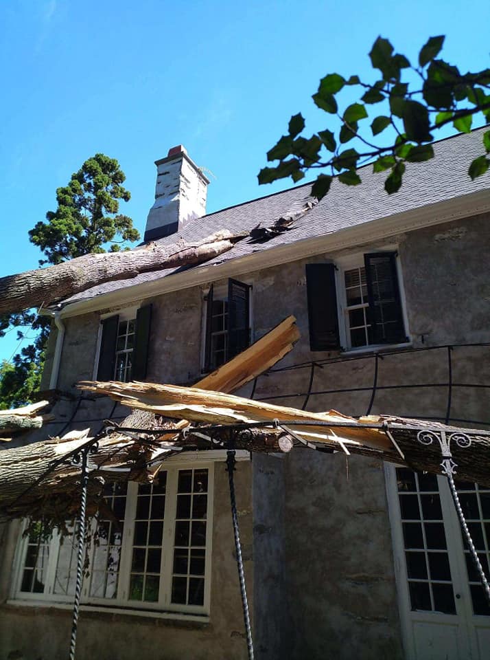 Top notch tree care and landscaping llc | Ivyland PA