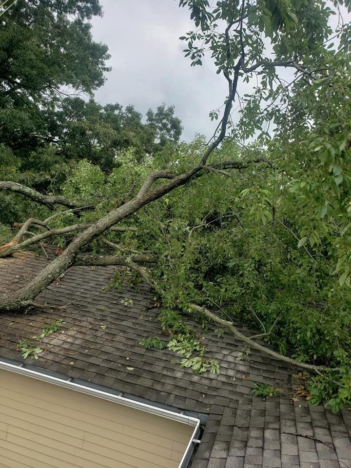 Top notch tree care and landscaping llc | Ivyland PA