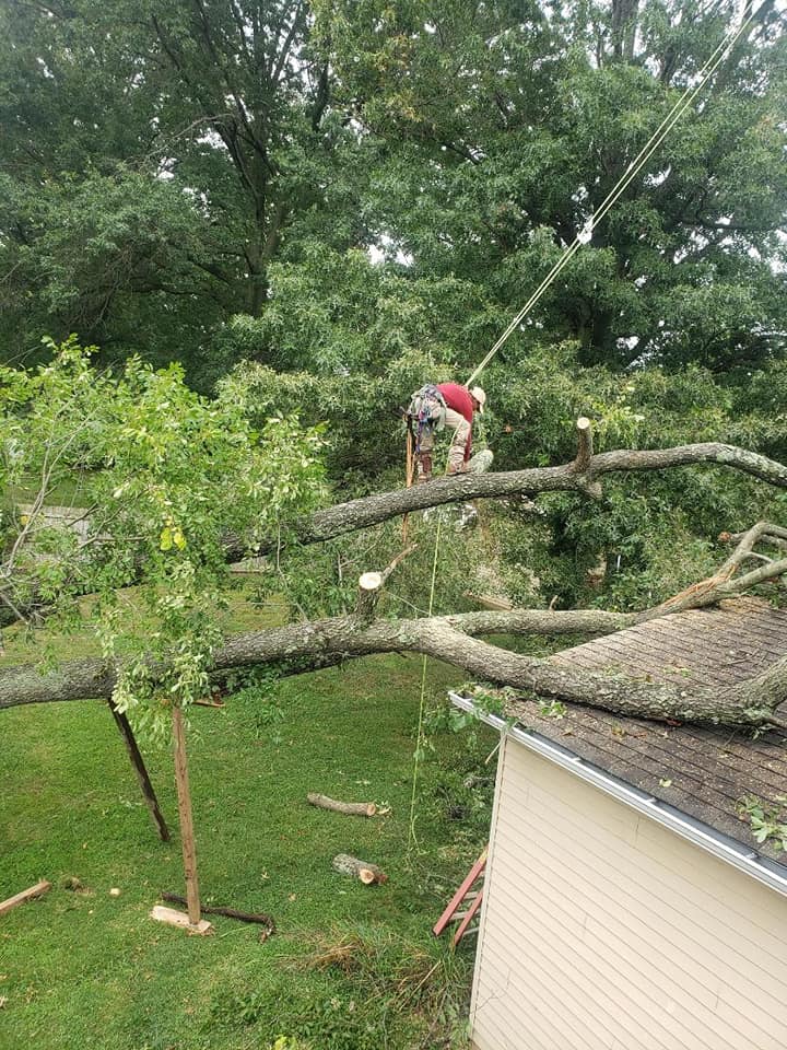 Top notch tree care and landscaping llc | Ivyland PA