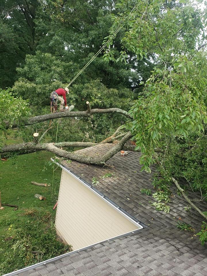 Top notch tree care and landscaping llc | Ivyland PA
