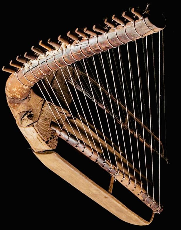Constructed a 36 string Paraguayan harp