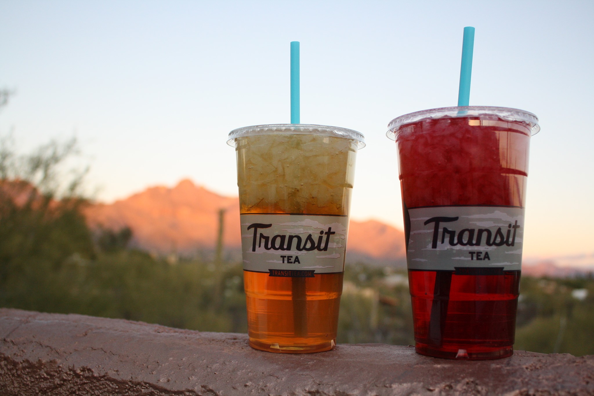 Transit Tea | Tucson AZ