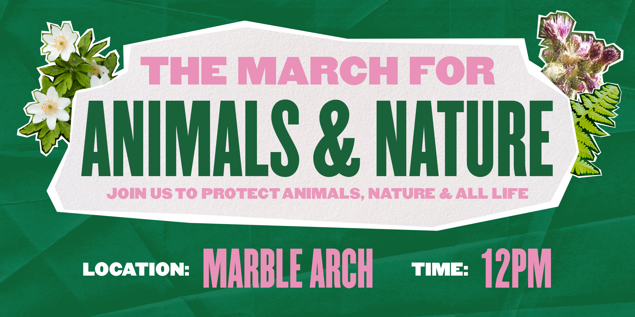 Animal Rising Midlands