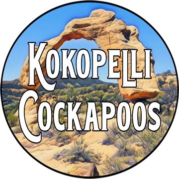 Kokopelli Cockapoos on Reels