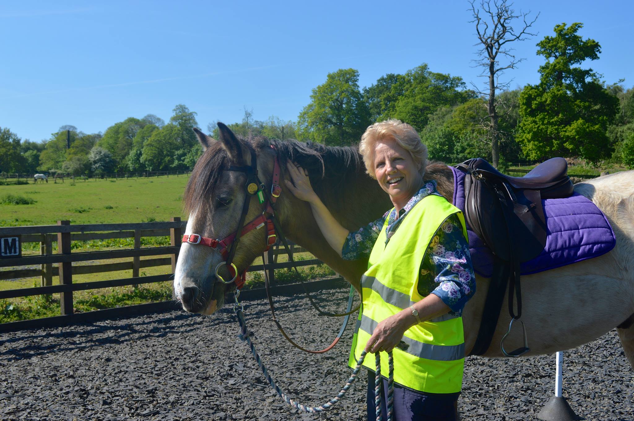 Godstone Group Riding for the Disabled Association - RDA