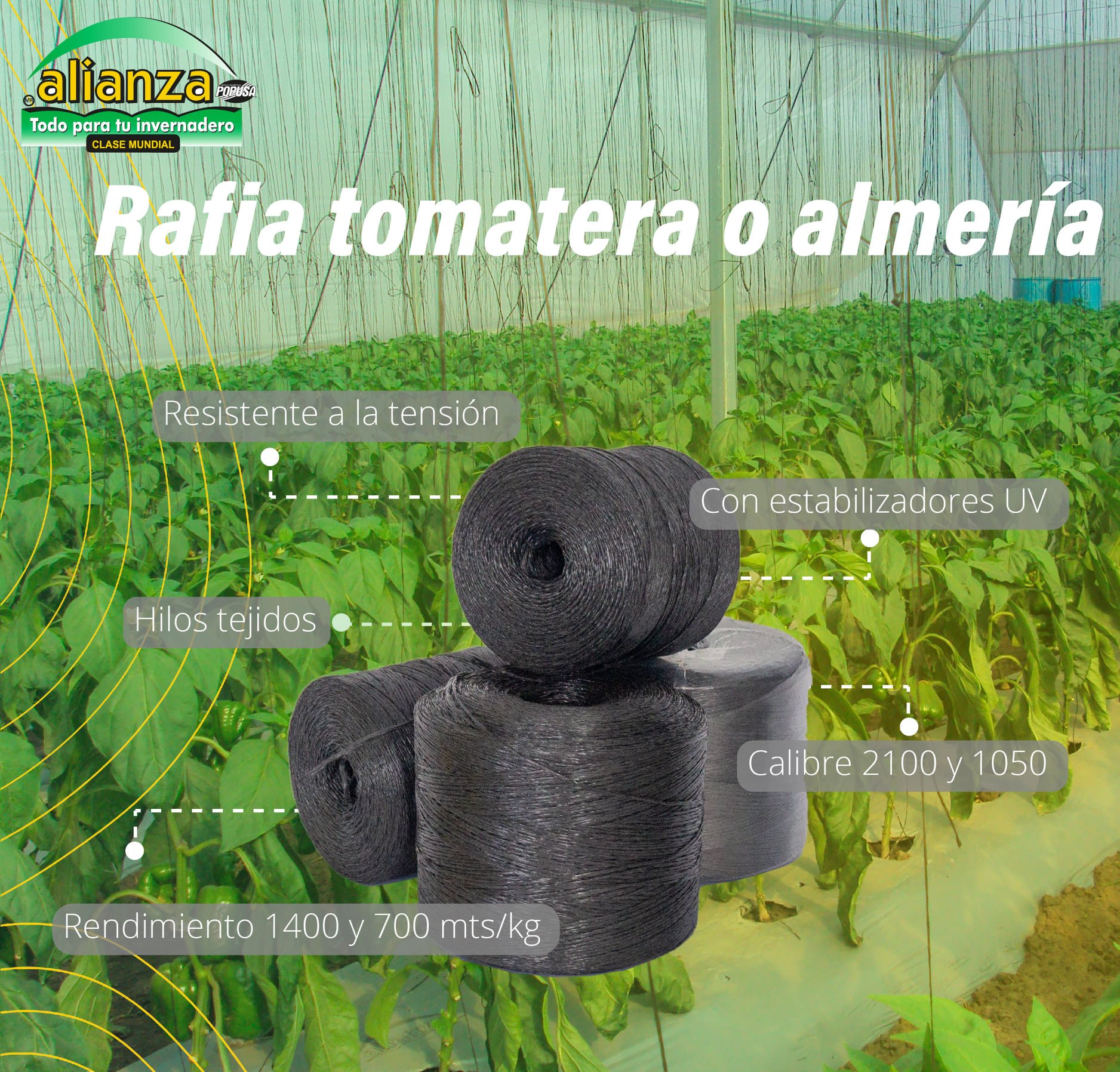 ¿Ya conoces la rafia tomatera... - Multiempaques San Martin