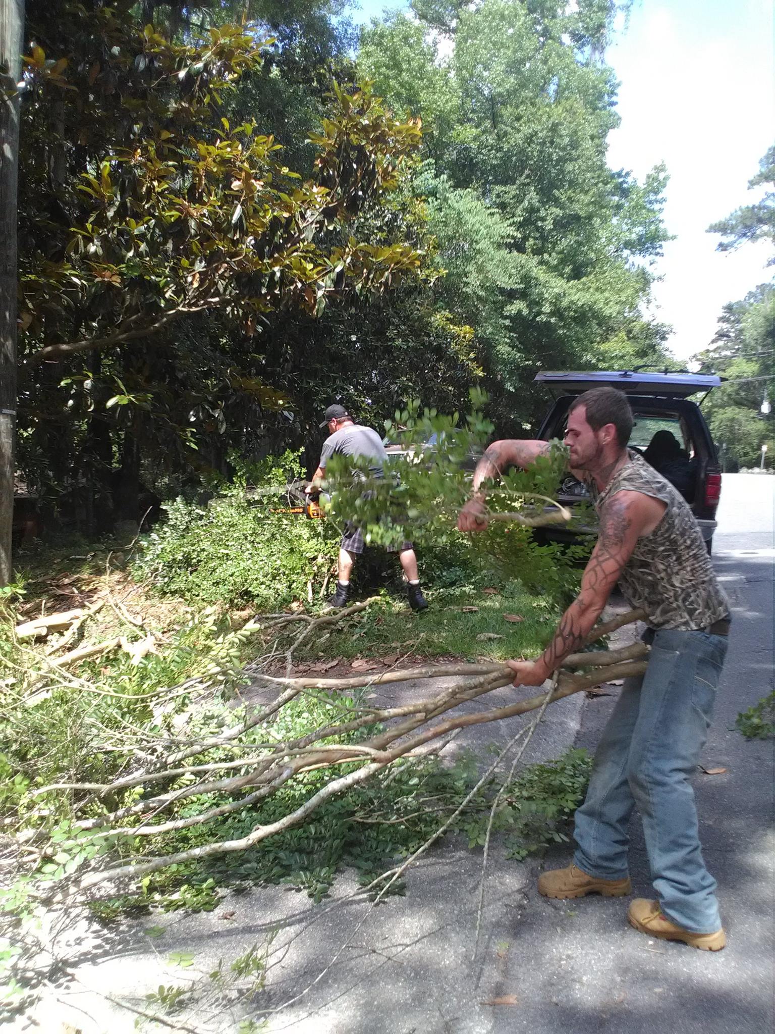 Pro-Cuts Tree,trimming and Removal | Tallahassee FL