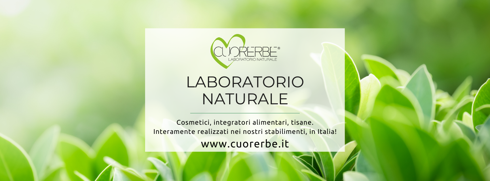 Lozione Per Capelli MELA ANNURCA Bodyline | Stimola La Ricrescita E Il Bulbo Pilifero
