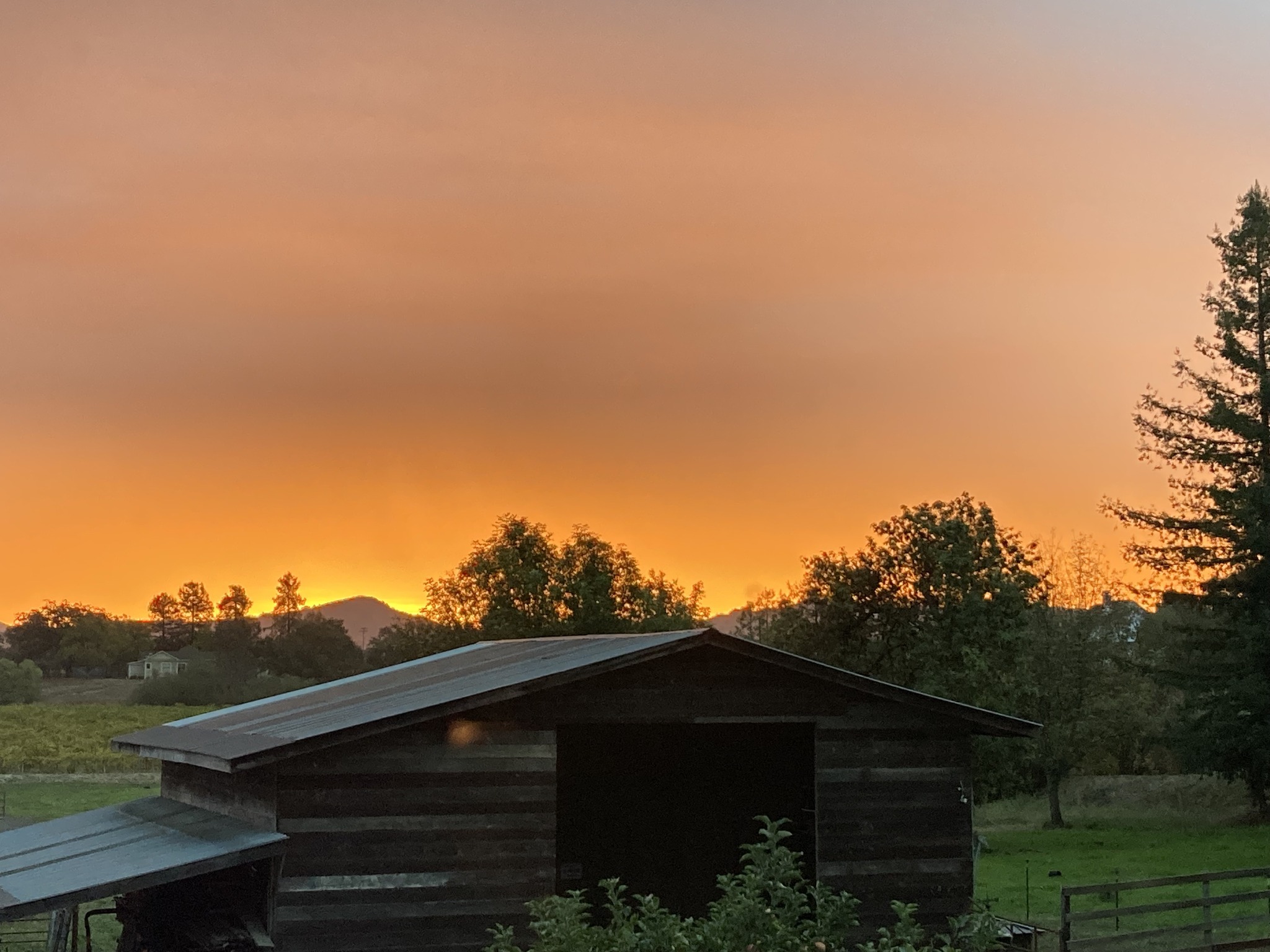 7M Ranch | Clements CA