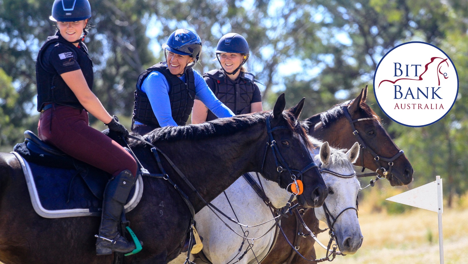 Bit Bank Australia- For Horse Bits