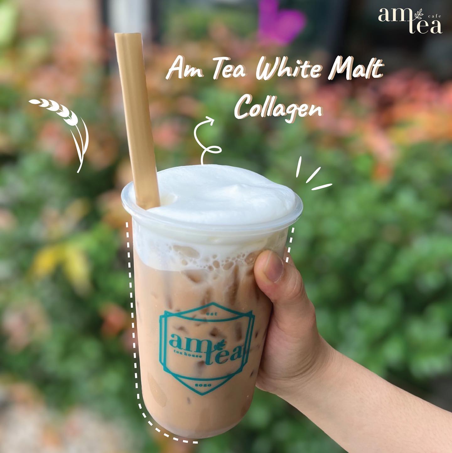 Am Tea Thailand - Am Tea White Malt Collagen...