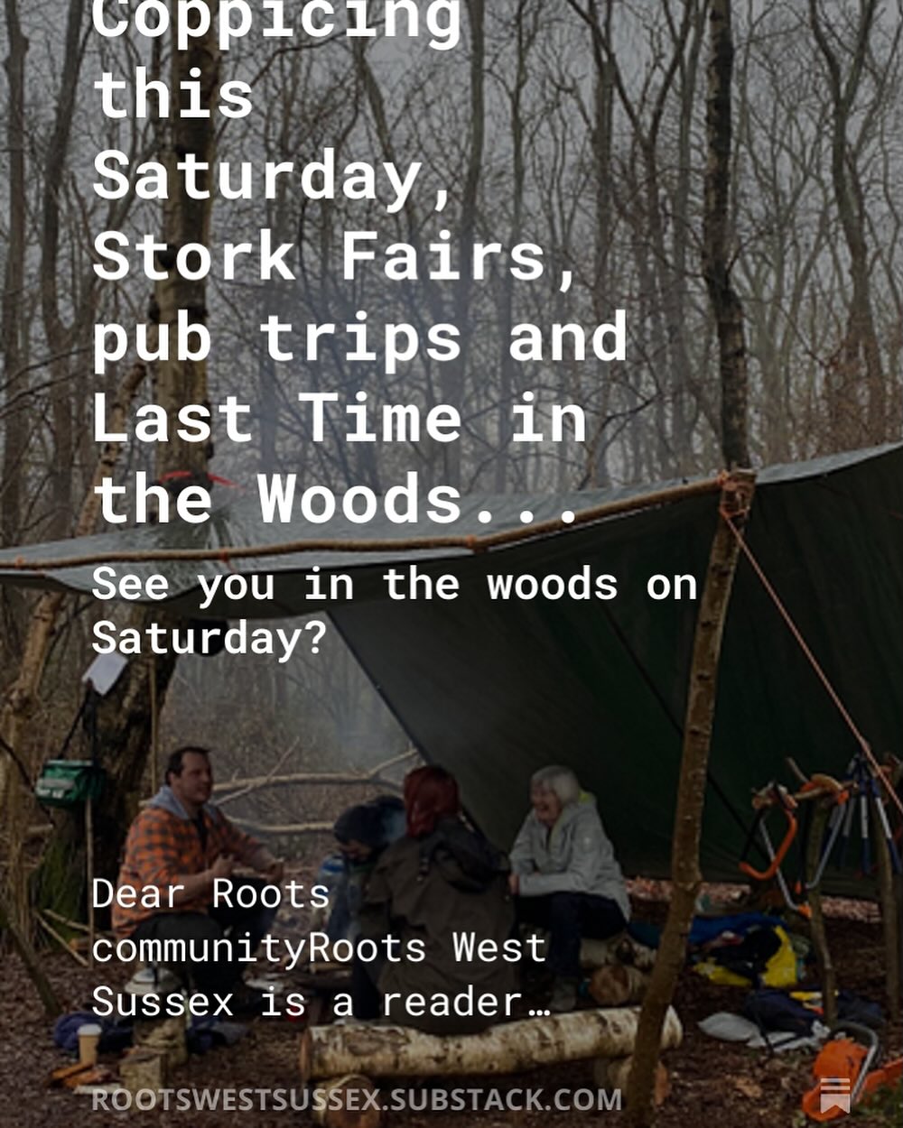 Roots CIC | Storrington