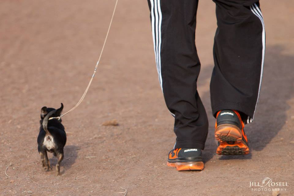 Ruff Run