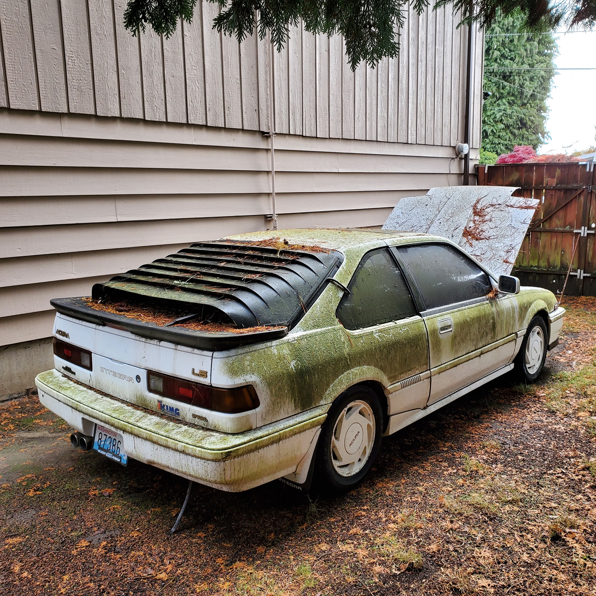 Integra Special Edition. Looked to be very well taken care of for