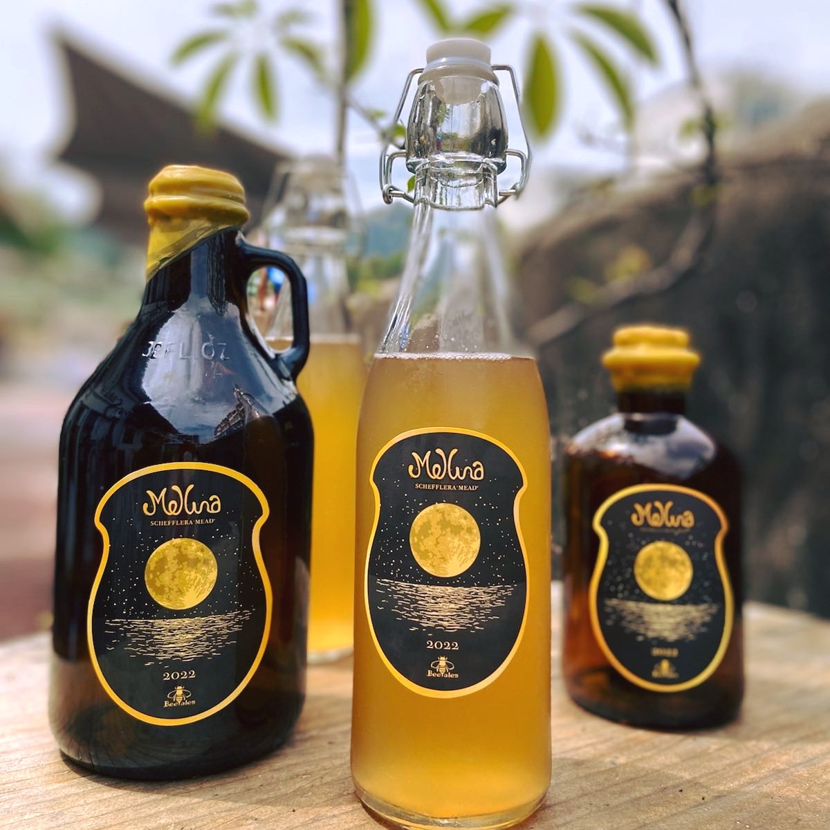 Seed 點籽 - 好消息呀！多得 Beetales 鼎力支持， 而家點籽有得俾大家試飲蜂蜜酒呀！... | Facebook