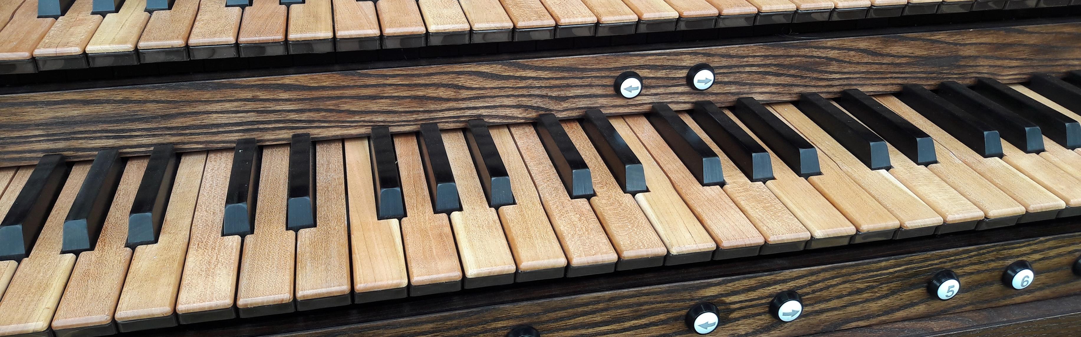 Looking for an intriguing Silesian voice for your organ literature? 🎹 ...