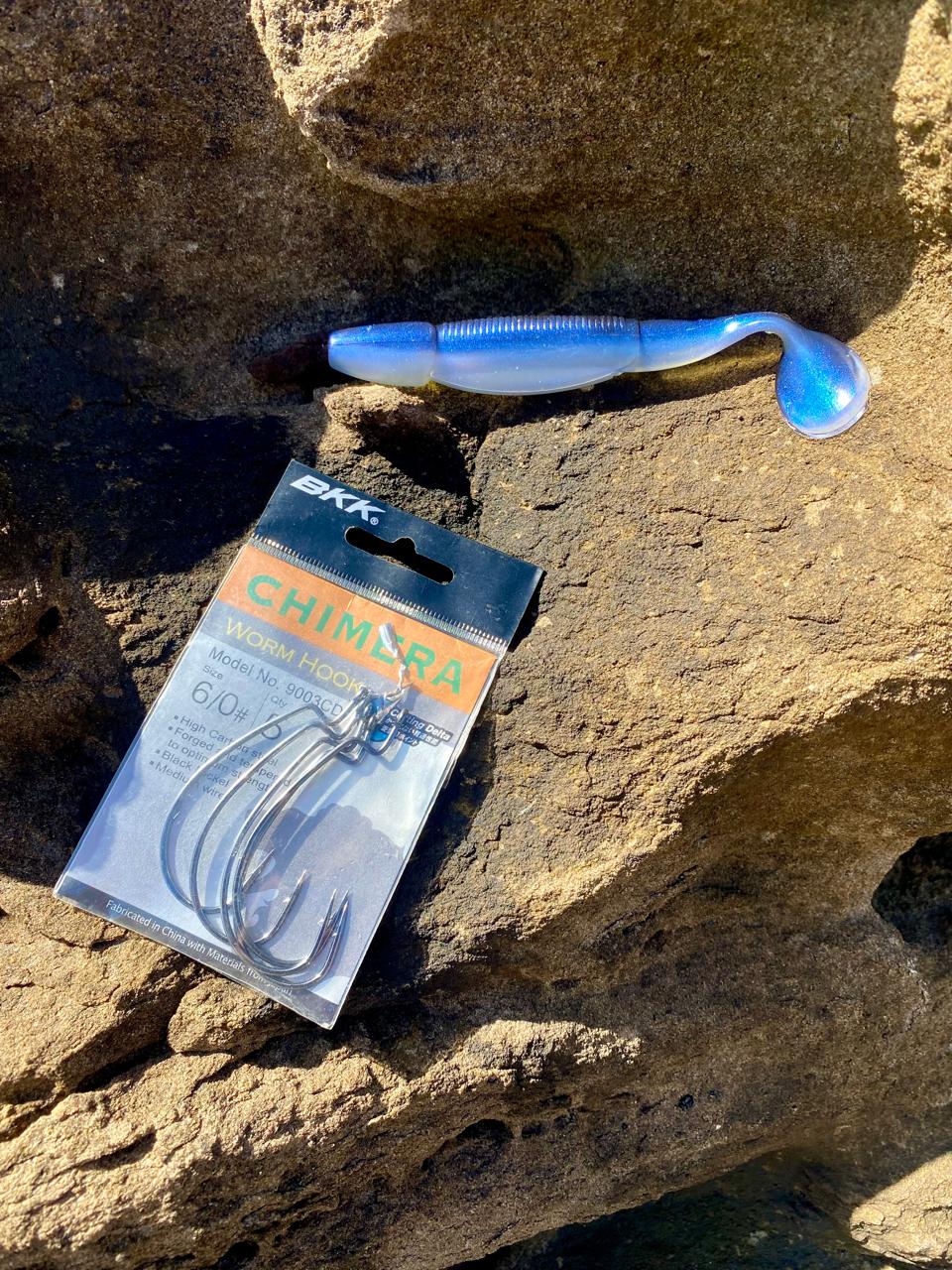 FISHING DBN (South Africa) | The Weedless Rig for catching Kob all year ...