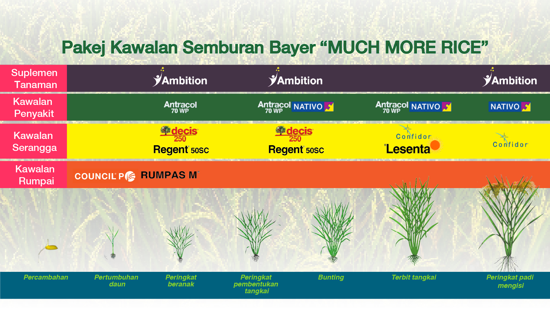 Bayer CS Malaysia - Hai sahabat petani😍 Admin kongsikan Bayer ...
