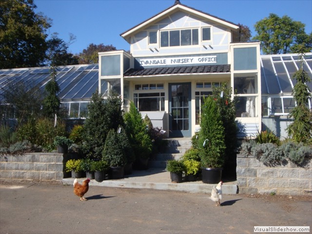Ivandale Farms | Hamilton VA