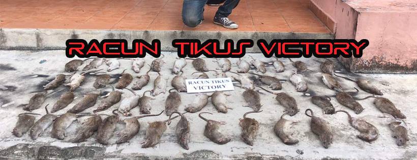 Racun Tikus Victory | Kuala Lumpur