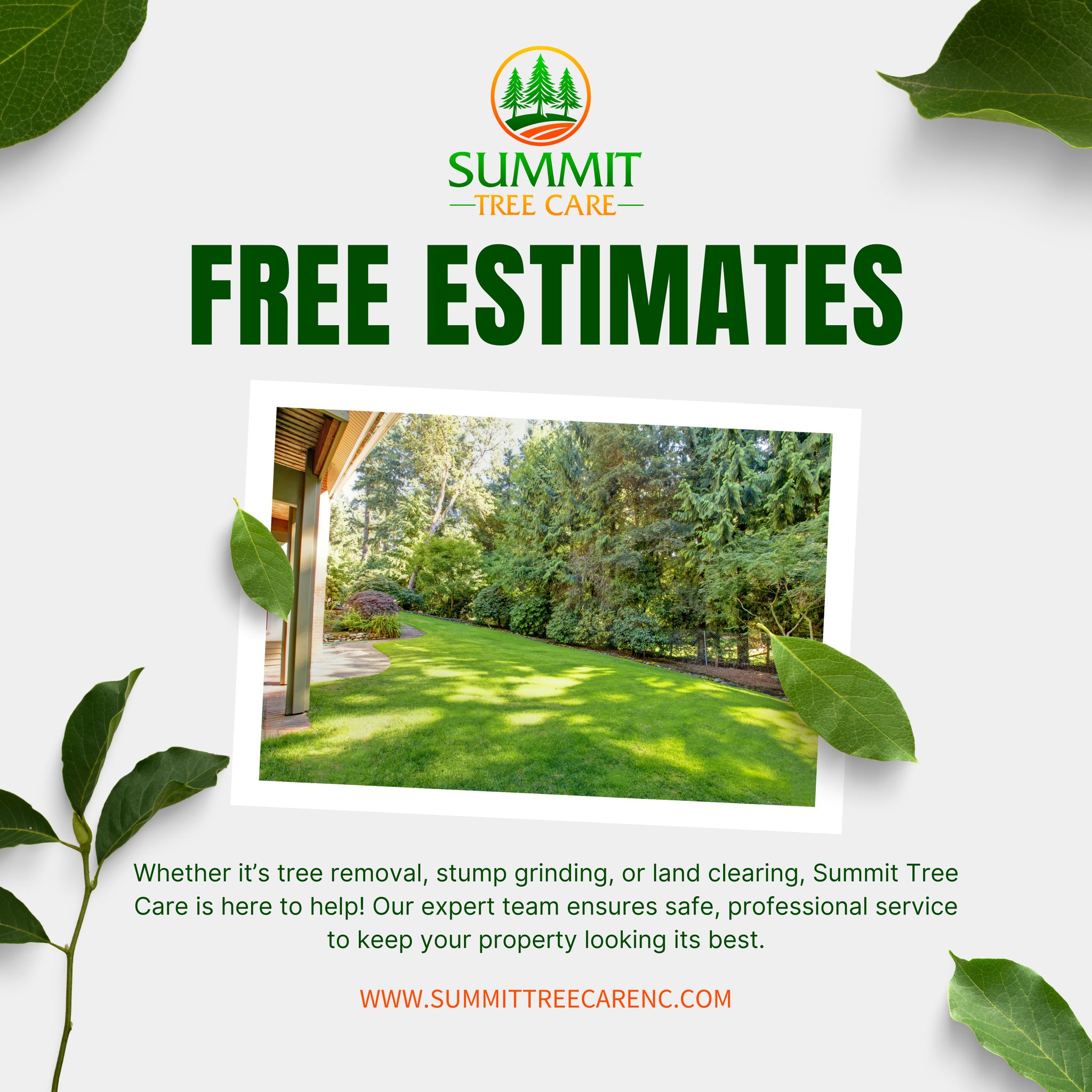 🌳 Need tree care? We’ve got you... - Summit Tree Care, LLC | Facebook