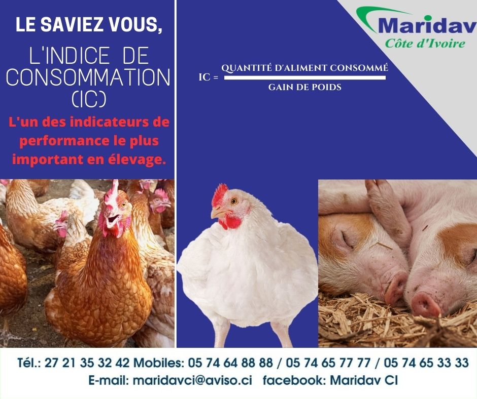 Maridav CI - [LE SAVIEZ-VOUS?] [ L'Indice de Consommation...