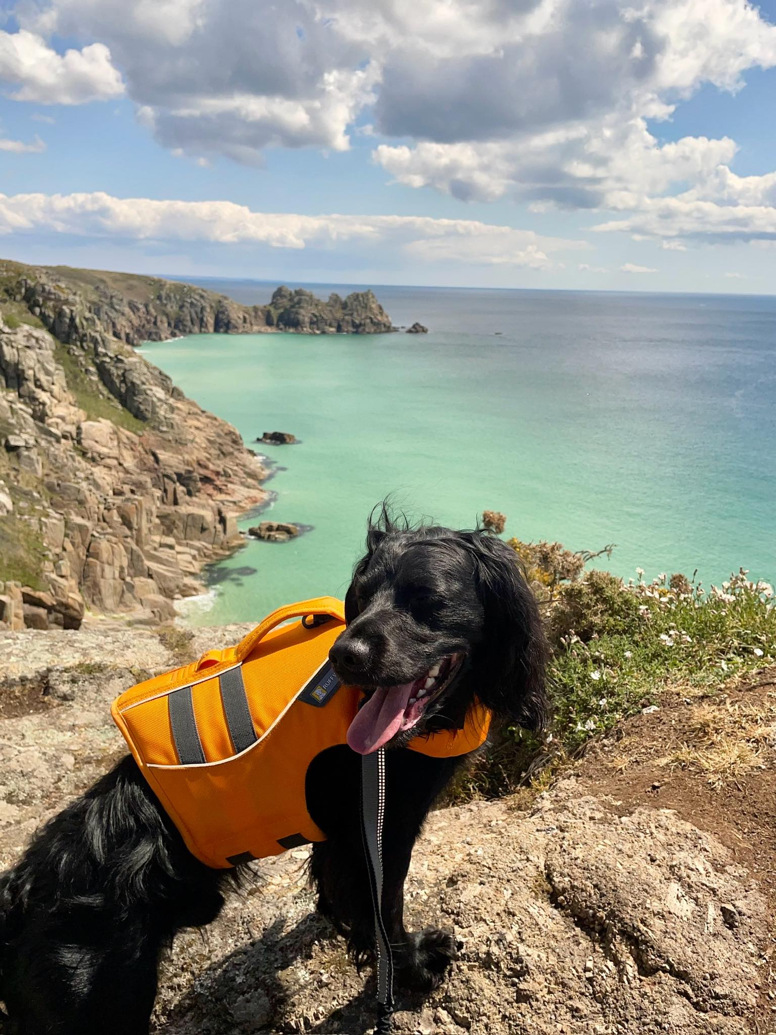 Cocker - Cornwall Friends - What’s the best way to visit Isles of ...