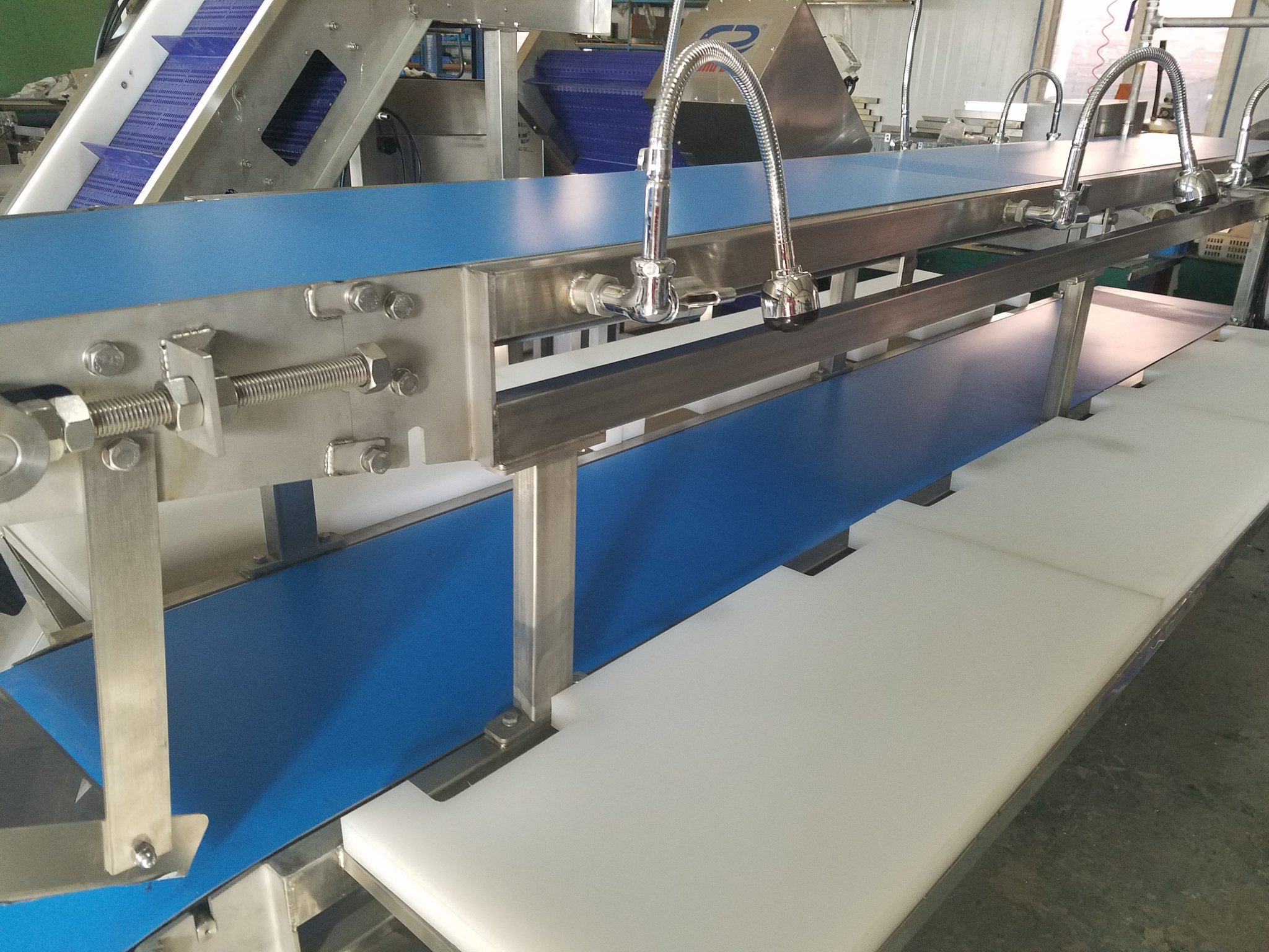 Inspection & Quality Control Station for Food Processing ...