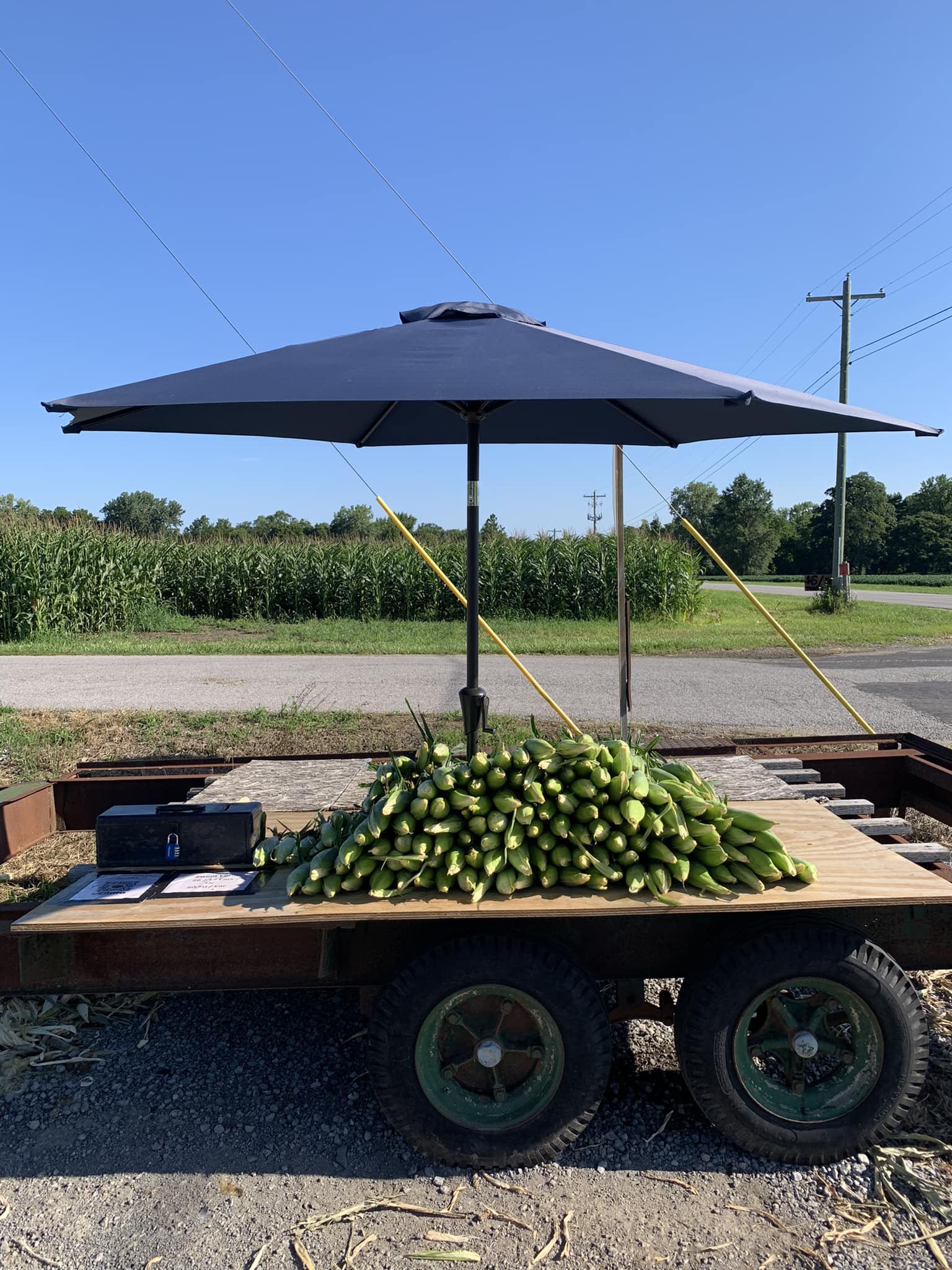 Romney Farms