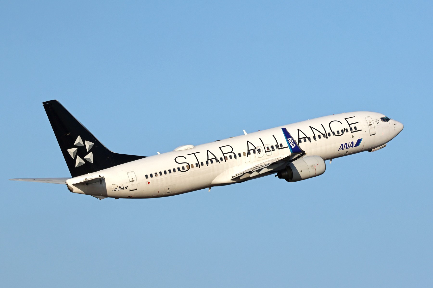 今朝のANAの羽田便はチビアラことスターアラインス塗装のボーイング737