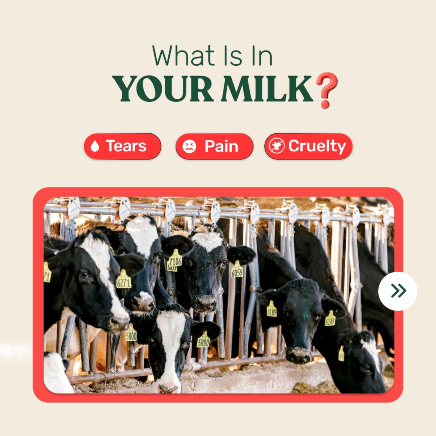 Humpy Farms