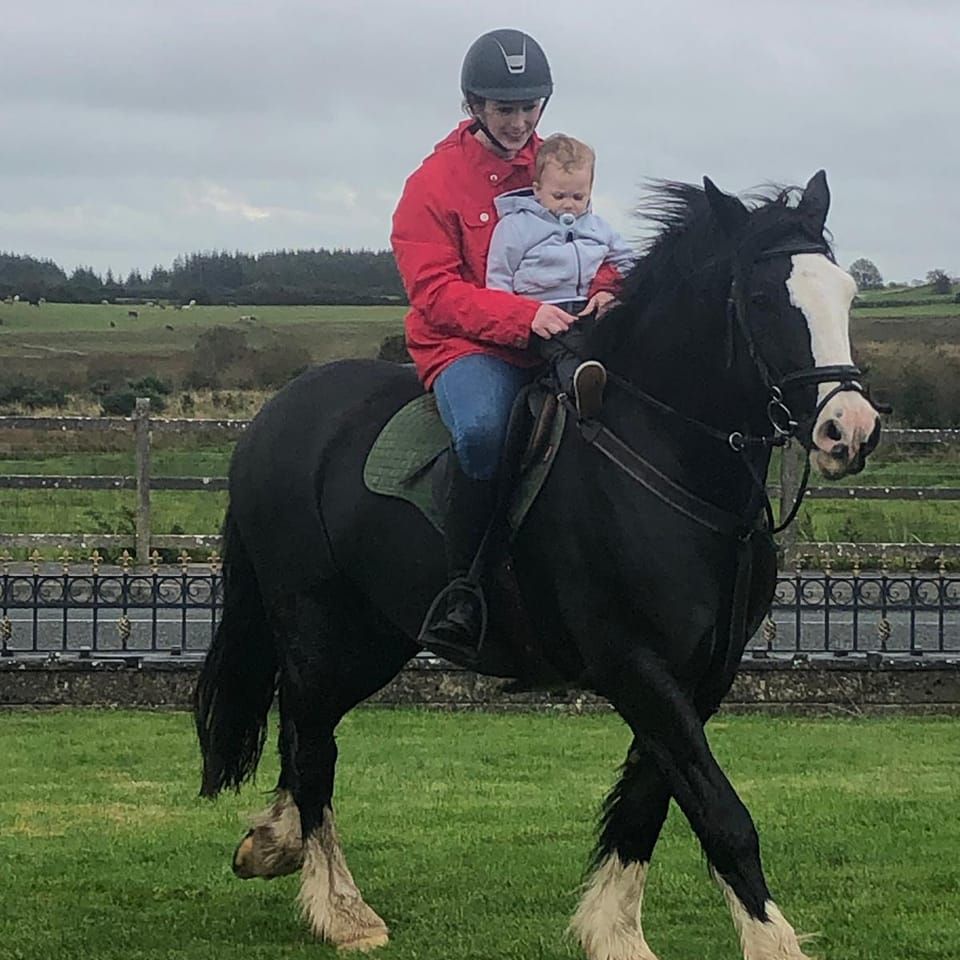 Diamond's Equine Renvyle - The Connemara Pony National Stud - The smell ...