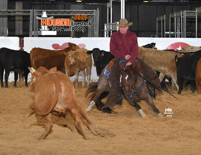 Houston Livestock Show and Rodeo 2026
