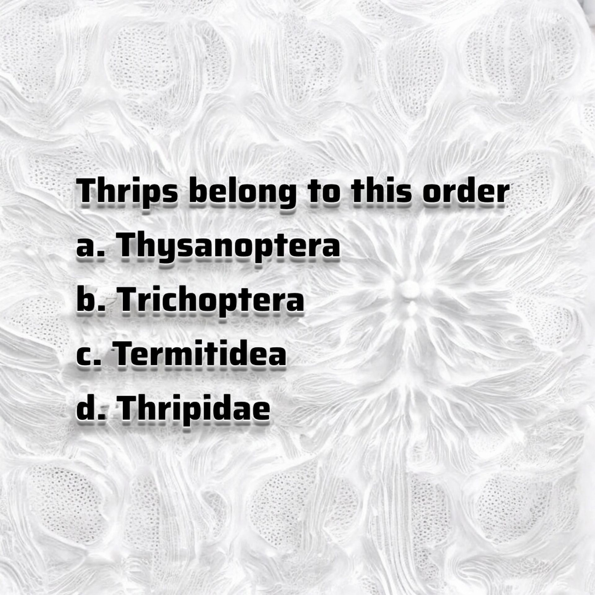 War-Agritech-Tv - Thrips belong to this order a. Thysanoptera b ...
