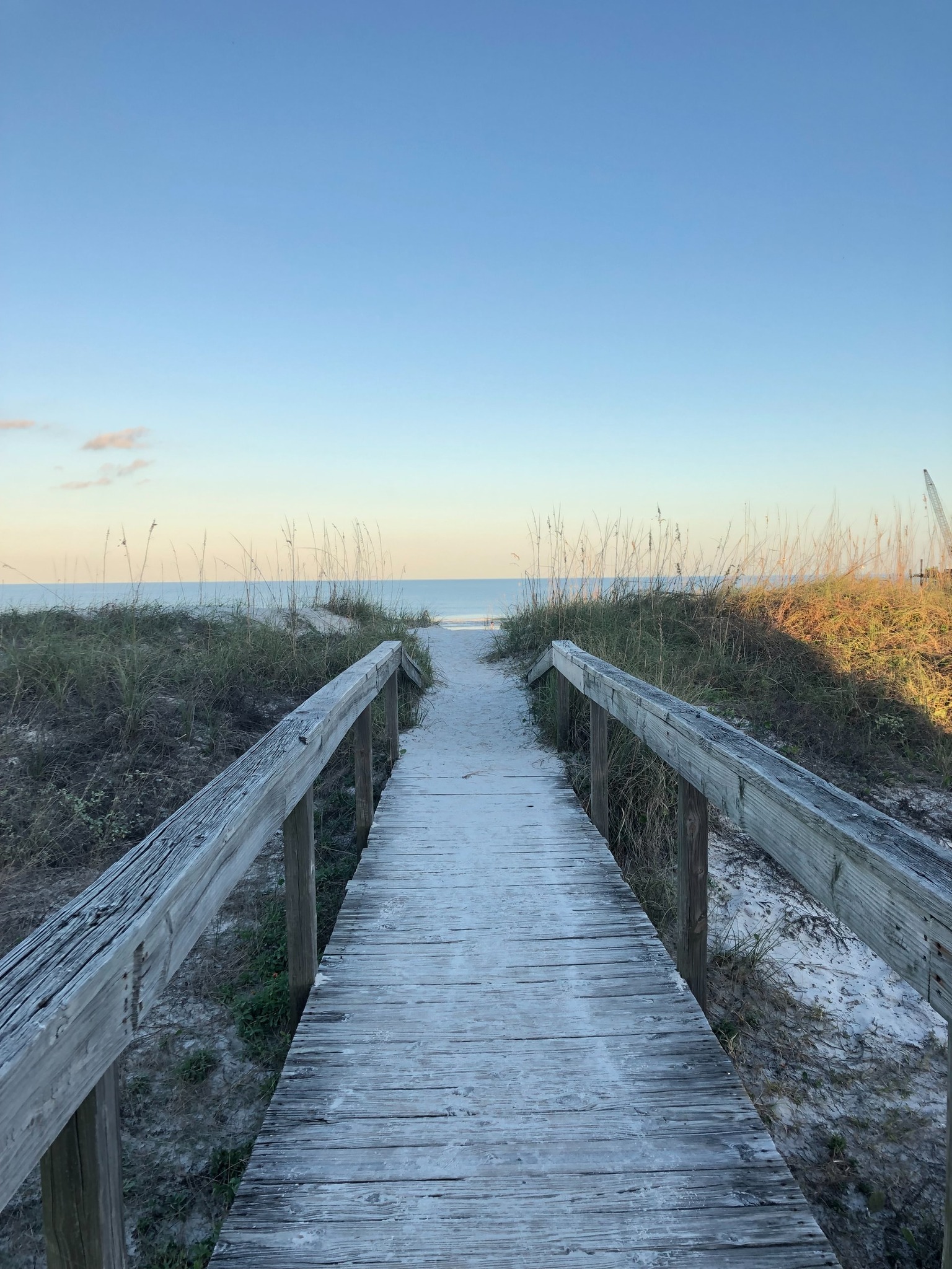 Debbie Dial Bradenton Realtor South Bradenton FL