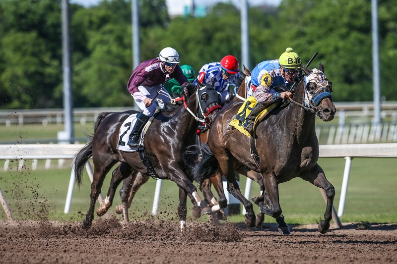 Q-Racing - The American Quarter Horse Association is proud...
