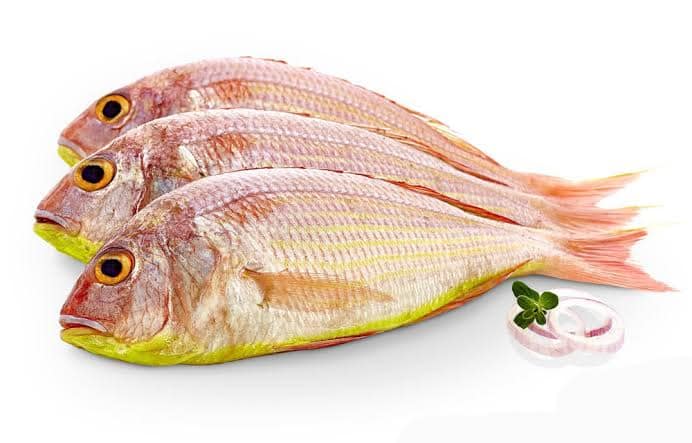 Himalay Sea Food - হিমালয় সী ফুড | Chittagong
