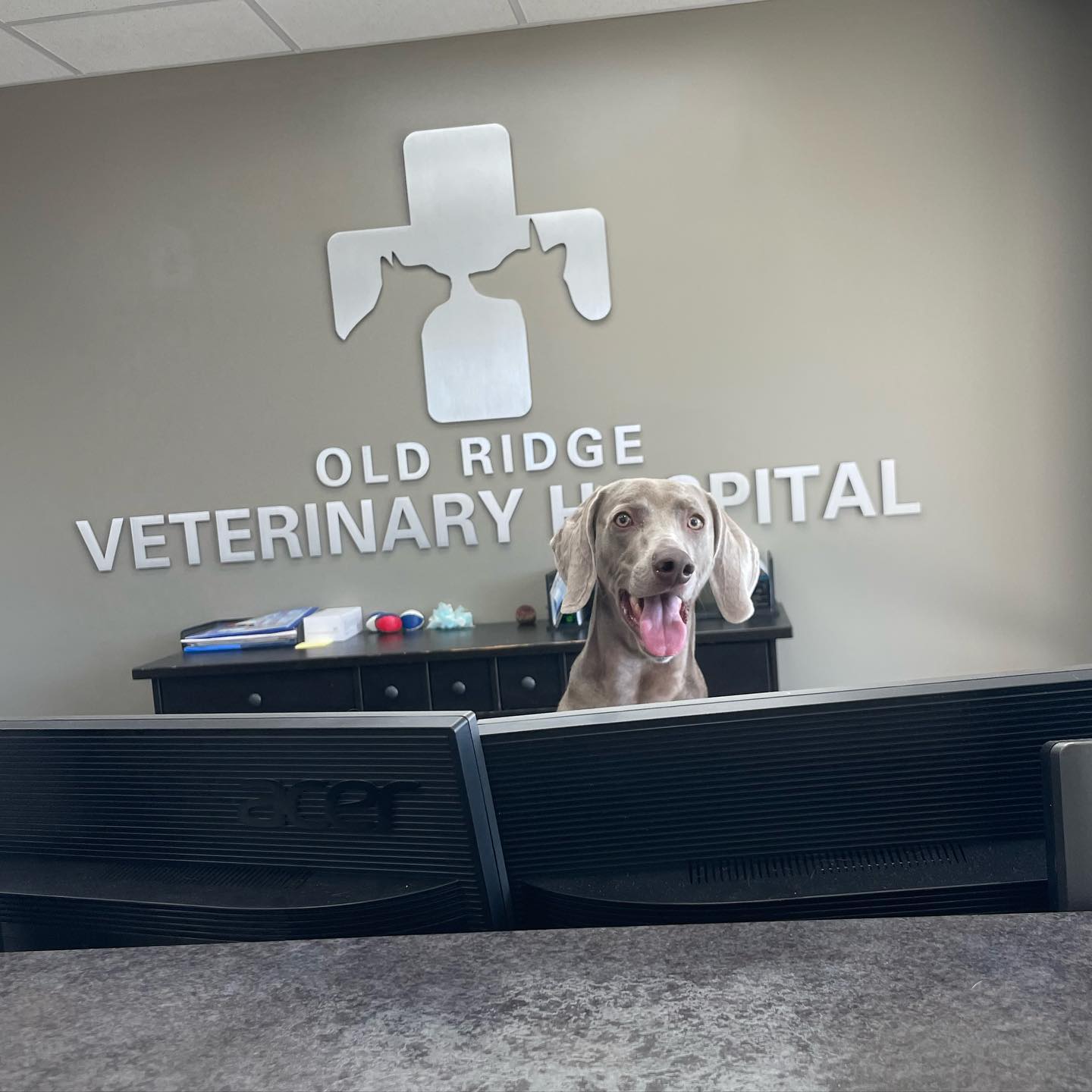 Get yourself a... - Old Ridge Veterinary Hospital